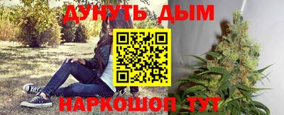 тгк Обь
