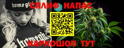тгк Обь